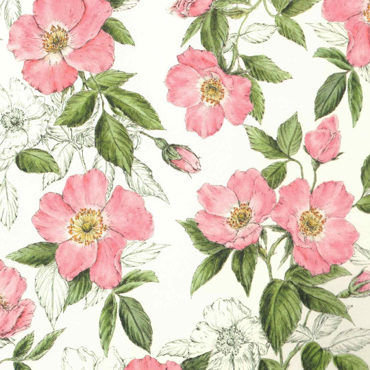 Pink Dog Rose Blossoms Floral Print Italian Paper ~ Tassotti